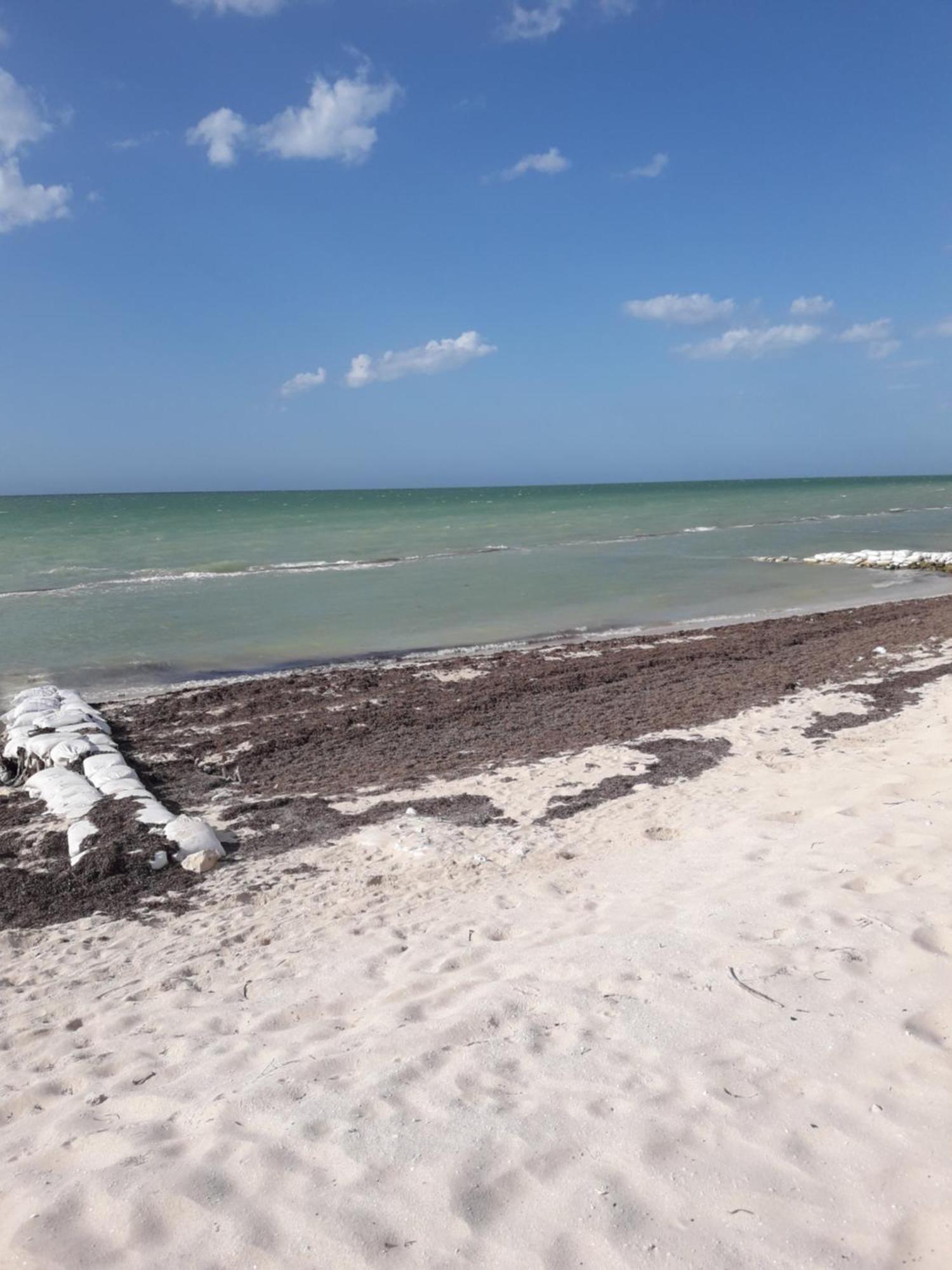 Casa Pepe Vacation Rental Progreso Прогресо Екстериор снимка